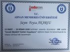 Aile Danışmanı Feyza Akarsu Aile Danışmanı sertifikası