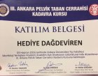 Dr. Öğr. Üyesi Hediye Dağdeviren Kadın Hastalıkları ve Doğum sertifikası