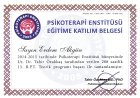 Uzm. Kl. Psk. Erdem Akgün Psikoloji sertifikası