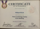Op. Dr. Hülya Kula Kadın Hastalıkları ve Doğum sertifikası
