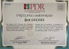 Psk. Dan. İpek Geçgel Psikolojik Danışman sertifikası
