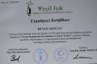 Psk. Dan. Duygu Soycan Psikolojik Danışman sertifikası
