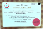 Uzm. Dt. Mevlüt Kayabaşı Diş Hekimi sertifikası