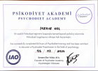 Psk. Merve Keç Psikoloji sertifikası