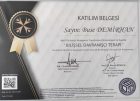 Psk. Buse Demirhan Psikoloji sertifikası