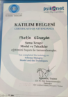 Psk. Metin Günaydın Psikoloji sertifikası