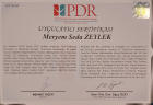 Psk. Dan. Meryem Seda Zeylek Psikolojik Danışman sertifikası
