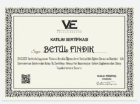 Aile Danışmanı Betül Fındık Aile Danışmanı sertifikası