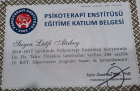Klinik Psikolog  Lütfi Atabey Psikoloji sertifikası