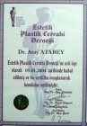 Prof. Dr. Atay Atabey Plastik Rekonstrüktif ve Estetik Cerrahi sertifikası