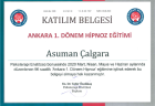 Uzm. Psk. Asuman Çalgara Psikoloji sertifikası