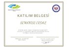 Psk. Semanur Erdal Psikoloji sertifikası
