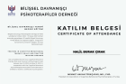 Psk. Dan. Halil Burak Çırak Psikolojik Danışman sertifikası