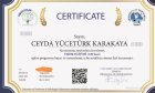 Aile Danışmanı Ceyda Yücetürk Aile Danışmanı sertifikası