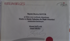 Uzm. Dr. Burcu Savur Varol Dahiliye - İç Hastalıkları sertifikası