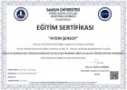 Psk. Aydın Şensoy Psikoloji sertifikası