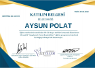 Aile Danışmanı Aysun Polat Aile Danışmanı sertifikası