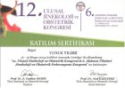 Op. Dr. Yunus Yıldız Kadın Hastalıkları ve Doğum sertifikası