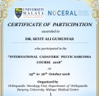Prof. Dr. Seyit Ali Gümüştaş Ortopedi ve Travmatoloji sertifikası