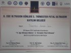 Op. Dr. Nurettin Ersöz İnce Kadın Hastalıkları ve Doğum sertifikası