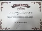Dt. Müjde Çelik Diş Hekimi sertifikası