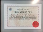 Op. Dr. Atilla Şengör Kulak Burun Boğaz hastalıkları - KBB sertifikası