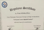 Uzm. Kl. Psk. Pınar Kemaloğlu Psikoloji sertifikası