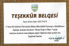 Fzt. Zafer Aksungur Fizyoterapi sertifikası