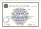 Op. Dr. Engin Öcal Plastik Rekonstrüktif ve Estetik Cerrahi sertifikası
