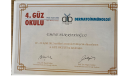 Doç. Dr. Emine Nur Rifaioğlu Dermatoloji sertifikası