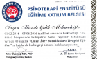 Psikoterapist Hande Çelik Mehmetoğlu Aile Danışmanı sertifikası