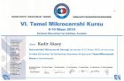Op. Dr. Kadir Aksoy Plastik Rekonstrüktif ve Estetik Cerrahi sertifikası