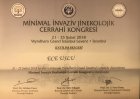 Op. Dr. Ece Uslu Esen Kadın Hastalıkları ve Doğum sertifikası