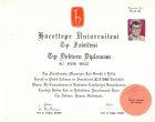 Prof. Dr. Ali Aydın Yavuz Radyasyon Onkolojisi sertifikası