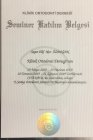 Dt. Elif Nur Özdoğan Diş Hekimi sertifikası