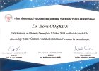 Doç. Dr. Bora Coskun Kadın Hastalıkları ve Doğum sertifikası