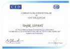 Op. Dr. Tevfik Uğur Sipahi Kadın Hastalıkları ve Doğum sertifikası
