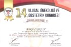 Doç. Dr. Bora Coskun Kadın Hastalıkları ve Doğum sertifikası