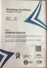 Dyt. Seminur Barlak Diyetisyen sertifikası