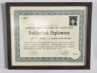 Prof. Dr. Esin Şenol Enfeksiyon Hastalıkları ve Klinik Mikrobiyoloji sertifikası