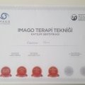 Uzm. Psk. Ramazan Uslu Psikoloji sertifikası