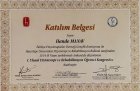 Fzt. Hande Manav Fizyoterapi sertifikası