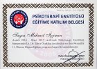 Psk. Mehmet İşçimen Psikoloji sertifikası