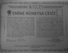 Psk. Dan. Rumeysa Ceviz Psikolojik Danışman sertifikası