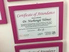 Dr. Dt. Nurbengu Yilmaz Diş Hekimi sertifikası