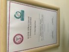 Dr. Selen Dağıstan Namlı Cinsel Terapi Sertifikalı Tıp Doktoru sertifikası