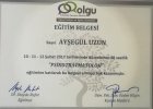 Uzm. Psk. Ayşegül Özkan Uzun Psikoloji sertifikası