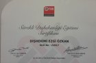 Dt. Ezgi Özkan Özben Diş Hekimi sertifikası