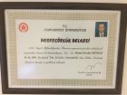 Prof. Dr. Ahmet Serdar Soydan Akupunktur sertifikası
