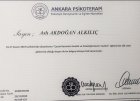 Uzm. Kl. Psk. Aslı Akdoğan Alkılıç Psikoloji sertifikası